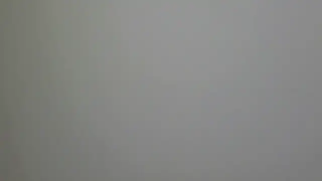 Snapshot of WetFlower69 chatting on 02-16-25, 03:27 WetFlower69 online show from 02-16-25, 03:27