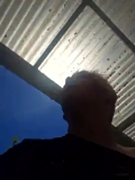 PinkTheHawk online show from 12-14-25, 10:37