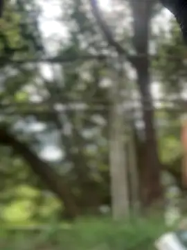 emma tour online show from 11-29-25, 03:12