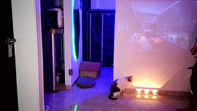 Phillip Smith online show from 10-18-25, 03:41