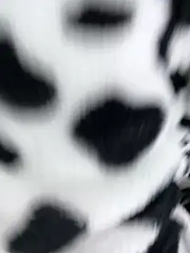 sandylau online show from 02-06-26, 01:23