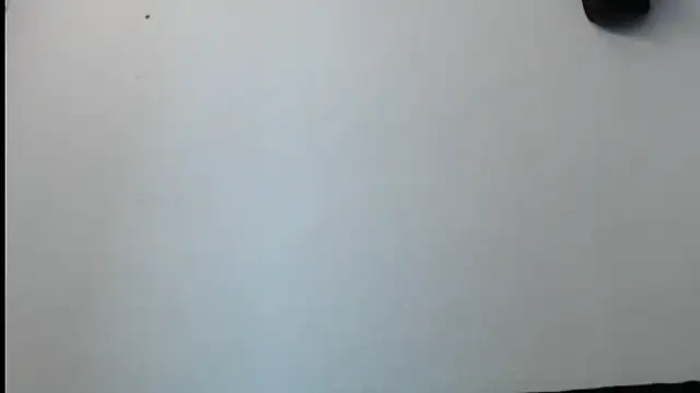 Snapshot of SebastianReiss chatting on 02-13-25, 01:29 SebastianReiss online show from 02-13-25, 01:29