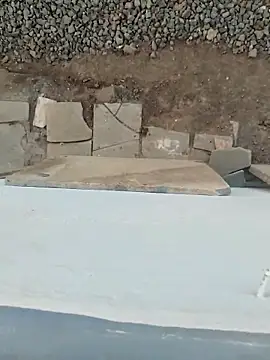 Big boss ind online show from 03-21-26, 01:04