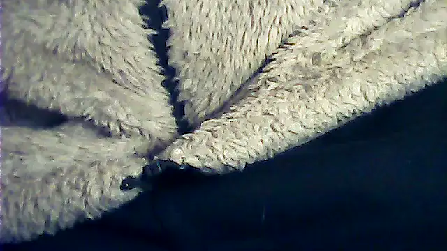 kalinixta online show from 01-06-26, 06:45