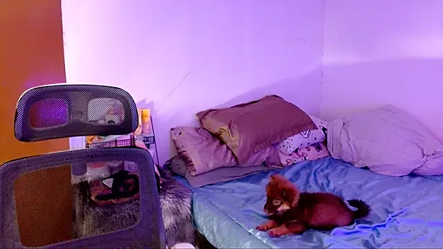 SweetLilly 18 online show from 11-02-25, 02:22