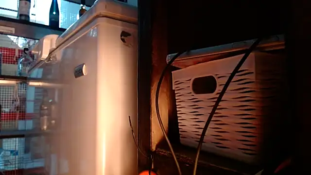 DAELAA online show from 11-10-25, 11:10