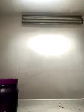 AlondraDiossa03 online show from 11-26-25, 06:30