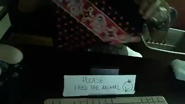 Snapshot of mycock2474u chatting on 10-31-25, 06:43 mycock2474u online show from 10-31-25, 06:43