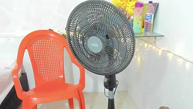 paola ih online show from 10-28-25, 01:10