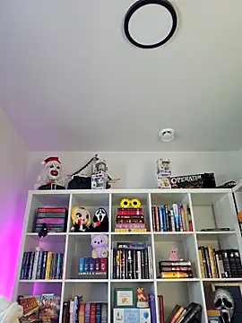 LilyOrion online show from 02-06-26, 08:05