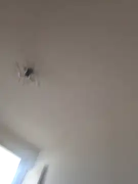 Selviboylumalyazmalim8 online show from 02-07-26, 12:35