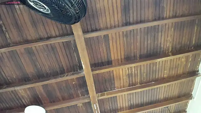 alessandra wells online show from 10-28-25, 11:09