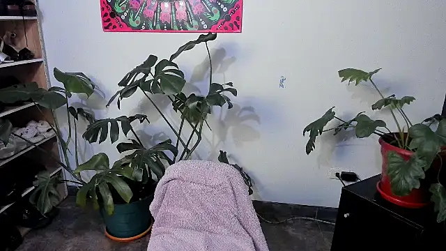 handipandapok online show from 03-17-25, 09:24