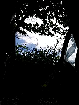 Luna-Natural online show from 12-21-25, 06:31