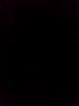 rus333 online show from 12-19-24, 01:18