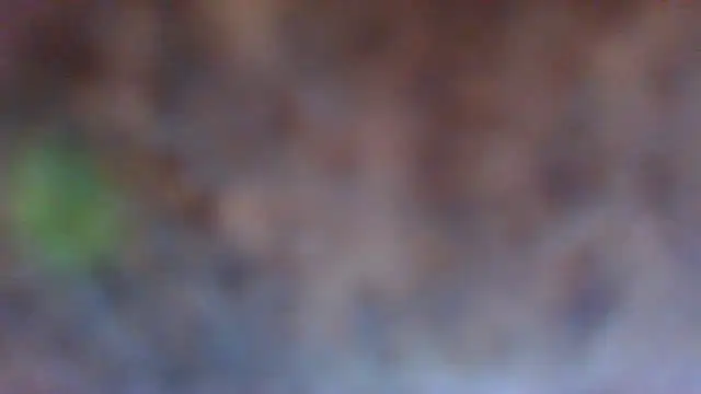 Snapshot of Hunzi123 chatting on 06-07-26, 11:43 Hunzi123 online show from 06-07-26, 11:43
