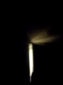 trucker1979 online show from 11-09-25, 08:07