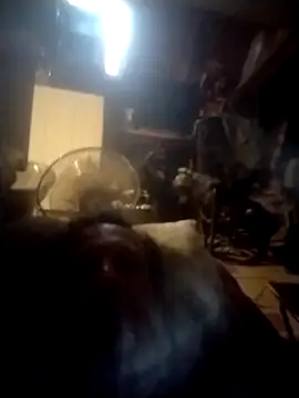 trucker1979 online show from 09-27-25, 10:54