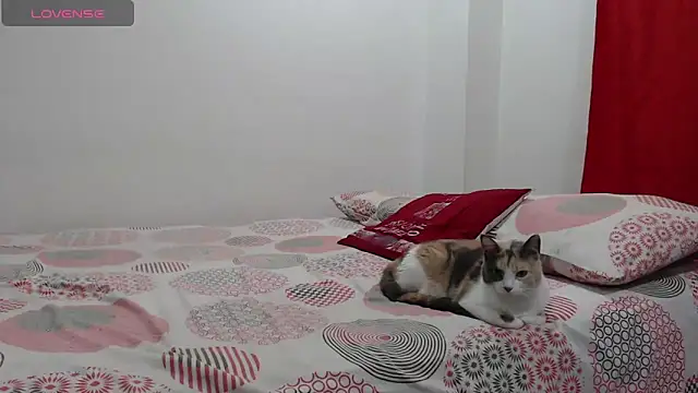 Aroon Stonne online show from 06-05-26, 04:17