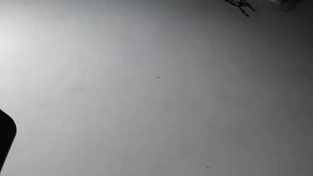 Snapshot of adrixxx38 chatting on 01-18-26, 04:43 adrixxx38 online show from 01-18-26, 04:43