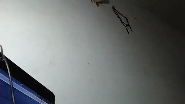 adrixxx38 online show from 03-05-26, 12:18