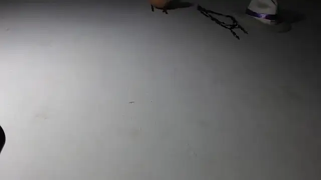 Snapshot of adrixxx38 chatting on 01-17-26, 11:19 adrixxx38 online show from 01-17-26, 11:19