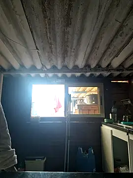 mila38 online show from 11-18-25, 09:56