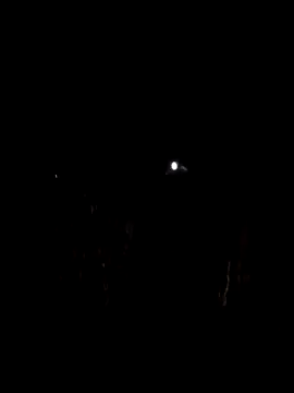 Snapshot of InMeinenMund chatting on 02-25-26, 06:30 InMeinenMund online show from 02-25-26, 06:30