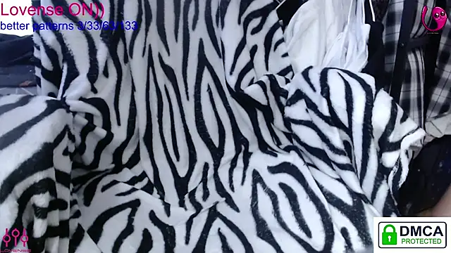 sweet cute cat online show from 01-18-26, 10:29