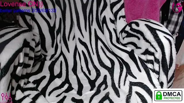 sweet cute cat online show from 01-13-26, 08:13