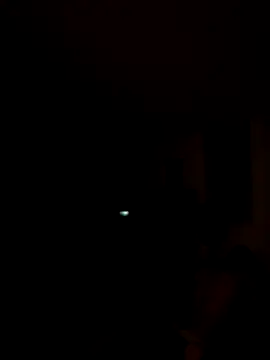 tropikboy online show from 11-07-25, 09:58