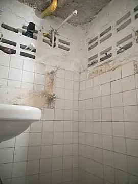 Carrington- online show from 03-03-26, 05:42