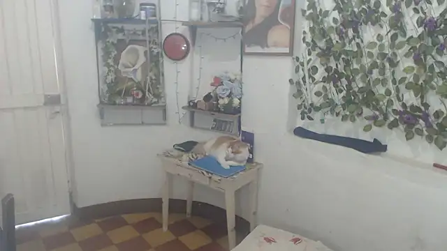 FunnyGrandma online show from 02-11-26, 09:58