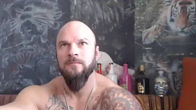 viking 30 online show from 11-26-25, 07:41