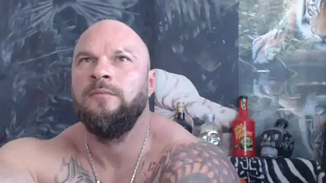 viking 30 online show from 06-05-26, 06:40