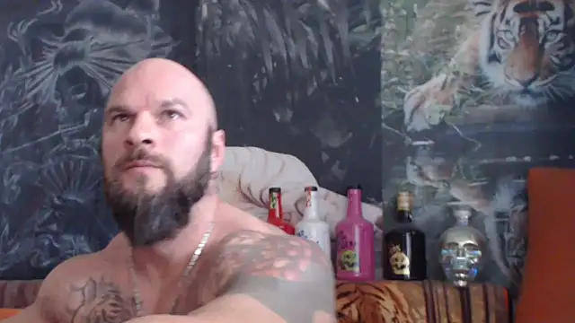 viking 30 online show from 11-04-25, 08:07