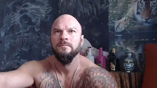 viking 30 online show from 10-08-25, 10:17