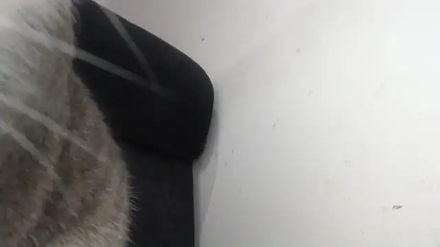 prettyangelsquirt online show from 04-08-26, 11:28