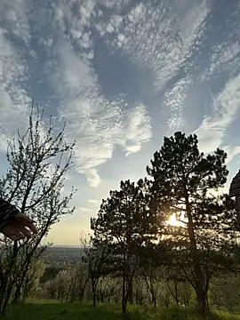 Alimela online show from 04-15-26, 04:11