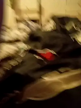 Lm-Schwanz online show from 03-07-26, 11:32