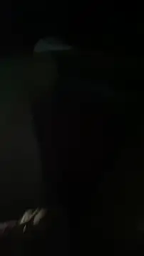 Kingnik13 online show from 11-23-25, 06:34