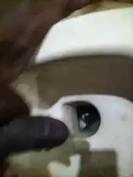 naxusxh online show from 11-30-25, 04:30