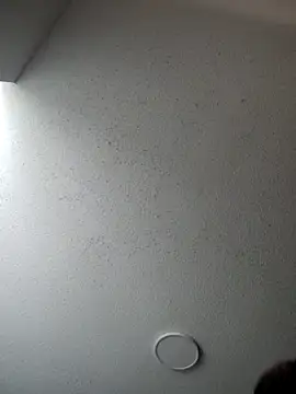 Snapshot of 6lue6a6y69 chatting on 01-05-25, 06:13 6lue6a6y69 online show from 01-05-25, 06:13