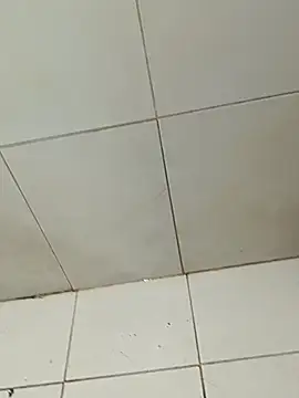 Fghjxdgbbcd online show from 12-20-25, 10:45