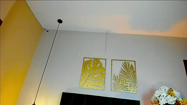 Snapshot of JupiteFox chatting on 03-12-26, 01:00 JupiteFox online show from 03-12-26, 01:00