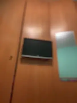 camelia3 online show from 03-10-26, 07:18