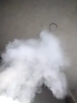 Chacal Armyy online show from 11-14-25, 09:18