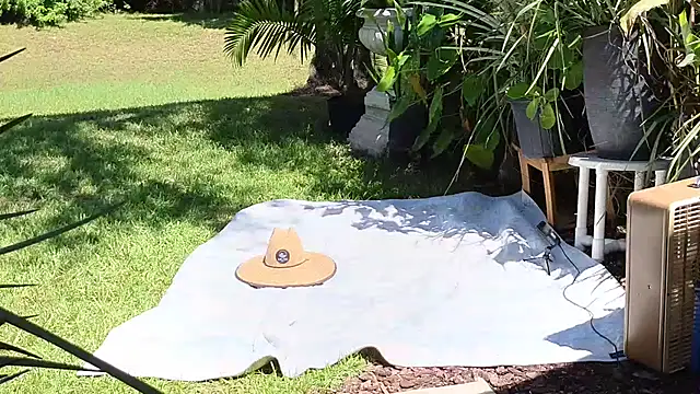 eliberator1777 online show from 09-21-25, 05:07