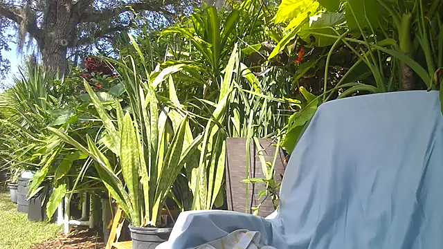 Snapshot of eliberator1777 chatting on 05-16-26, 07:57 eliberator1777 online show from 05-16-26, 07:57