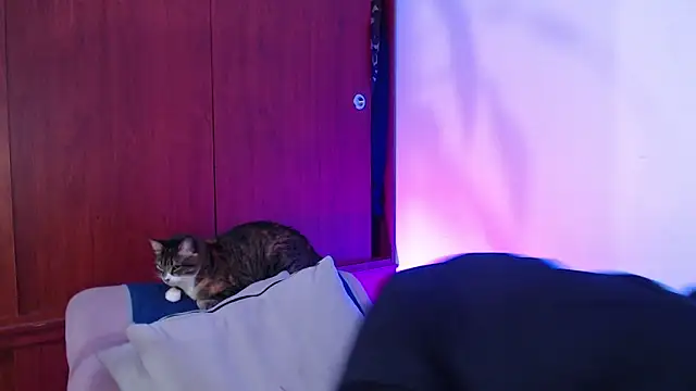 Raventh  online show from 03-14-26, 12:00